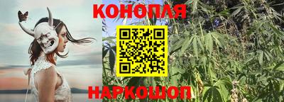 шишки Коммунар