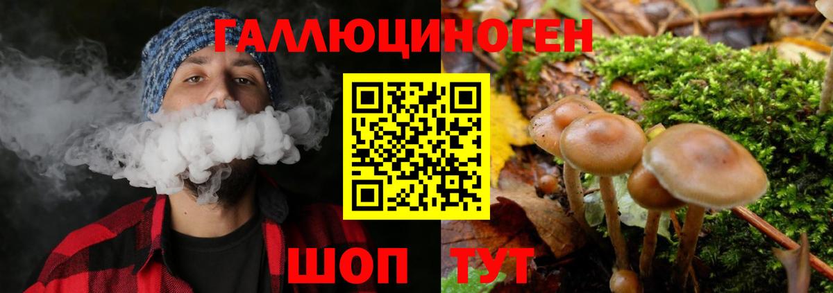 Псилоцибиновые грибы GOLDEN TEACHER Донской